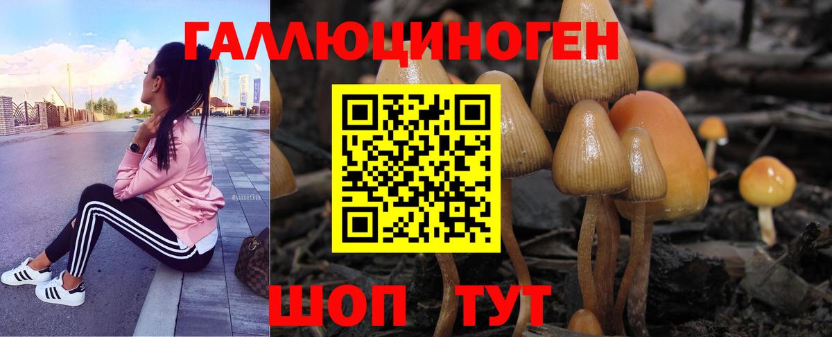 Псилоцибиновые грибы ЛСД Копейск